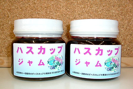 �n�X�J�b�v�W����