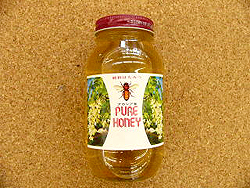 �V�R�A�J�V�A�͂��݂�